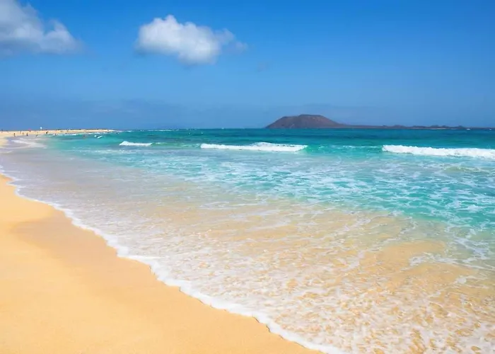 La Caldereta * ラ・オリーバ